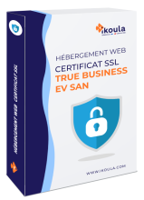 True Business EV SAN
