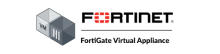 FortiGate VM02